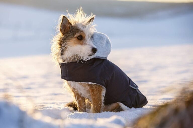 Waterproof Dog Coats