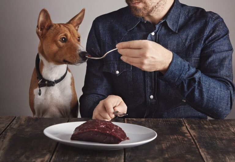 beef liver for dogs
